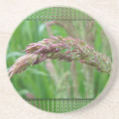 Hoe de gras Onderzetter groeit (Voorkant)