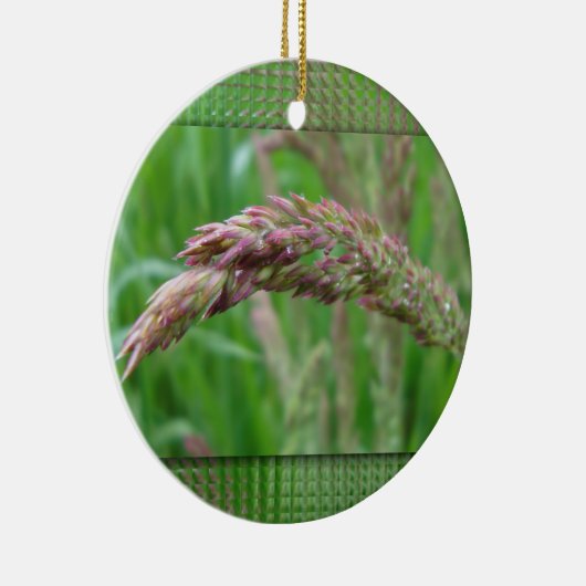 Hoe de gras ornament wordt (Rechts)