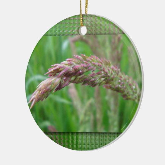Hoe de gras ornament wordt (Links)