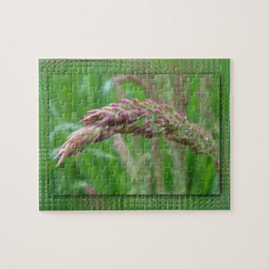 Hoe de gras uitgroeit legpuzzel (Horizontaal)