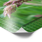 Hoe de Grass Foto's groeit Foto Afdruk (Hoek)