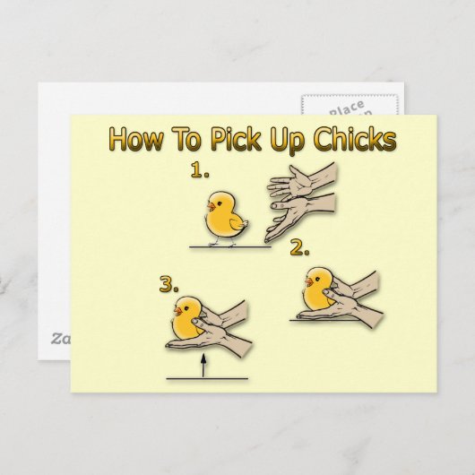 Hoe de kippen op te halen Funny Directions Briefkaart (Voorkant / Achterkant)