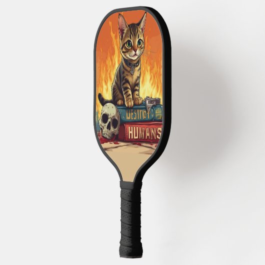 Hoe de mens te vernietigen pickleball paddle (Links)