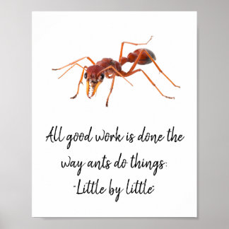 Hoe de mieren werken poster