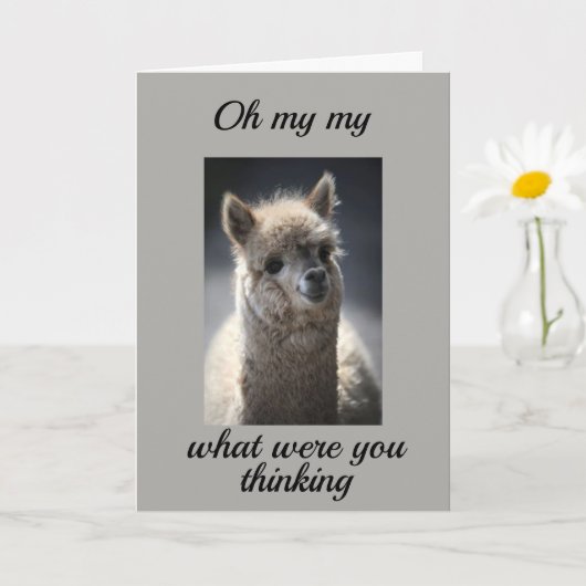 HOE DEED JE DAT *40 WORDEN?* KAART (Kleine Plant)