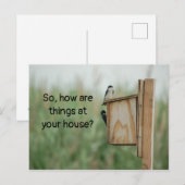 Hoe denken dingen over je vogels? briefkaart (Voorkant / Achterkant)