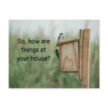 Hoe denken dingen over je vogels?