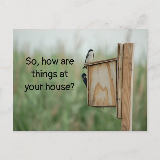 Hoe denken dingen over je vogels? briefkaart (Voorkant)