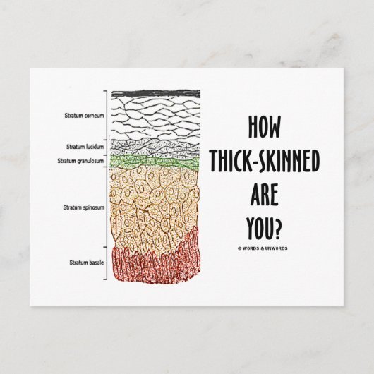Hoe dik ben je? (Epidermislagen) Briefkaart (Voorkant)