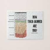 Hoe dik ben je? (Epidermislagen) Legpuzzel (Horizontaal)