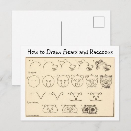Hoe een Beer en wasbeer  Briefkaart te tekenen (Voorkant / Achterkant)