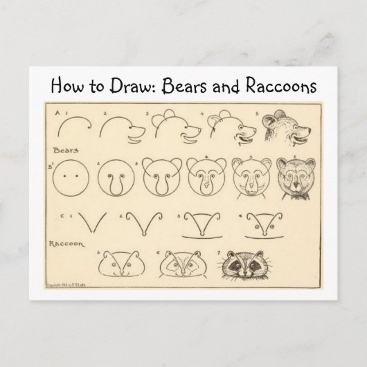 Hoe een Beer en wasbeer  Briefkaart te tekenen (Voorkant)