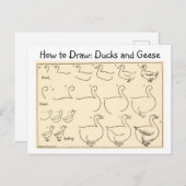 Hoe een Duck and Goose  Briefkaart te tekenen (Voorkant / Achterkant)