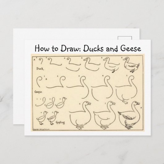 Hoe een Duck and Goose  Briefkaart te tekenen (Voorkant / Achterkant)