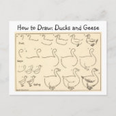 Hoe een Duck and Goose  Briefkaart te tekenen (Voorkant)