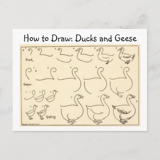 Hoe een Duck and Goose  Briefkaart te tekenen (Voorkant)