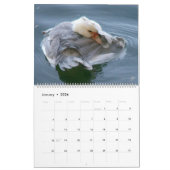 Hoe een jeuk te krabben - A. Gray Duck 2025 Kalender (Jan 2026)