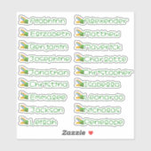 Hoe een Leprechaun Custom Name Stickers te vangen (Vel)