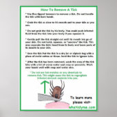 Hoe een Tick Education Poster te verwijderen (Voorkant)