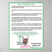 Hoe een Tick Education Poster te verwijderen