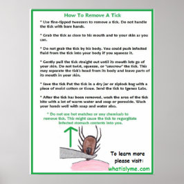 Hoe een Tick Education Poster te verwijderen