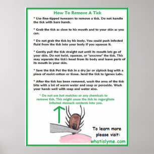 Hoe een Tick Education Poster te verwijderen