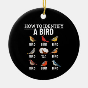Hoe een vogel te identificeren Grappige vogel kijk Keramisch Ornament