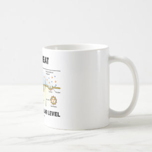 Hoe eet ik op cellulair niveau (Endocytose) Koffiemok