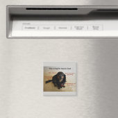 Hoe Funny Dog te bedelen Magneet (Insitu (Vaatwasser))
