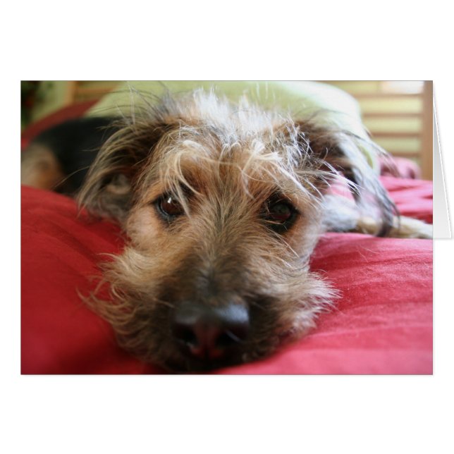 Hoe gaat het? (Voorkant Horizontaal)