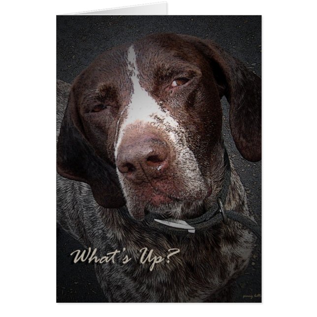 Hoe gaat het? (Voorkant)