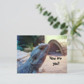 Hoe gaat het? briefkaart (Staand voorkant)