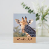 Hoe gaat het..Briefkaart Briefkaart (Staand voorkant)