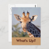 Hoe gaat het..Briefkaart Briefkaart (Voorkant / Achterkant)