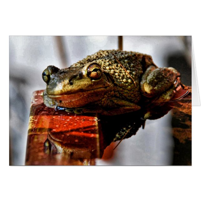 Hoe gaat het met je? (Voorkant Horizontaal)