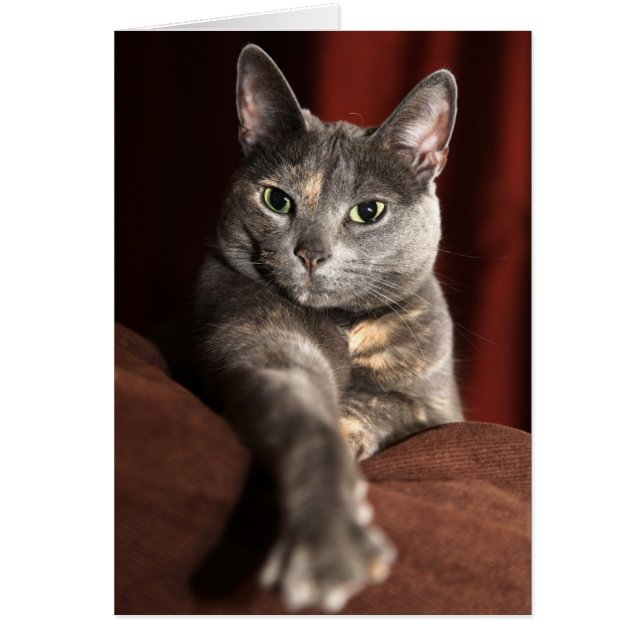 Hoe gaat het met je? (Voorkant)