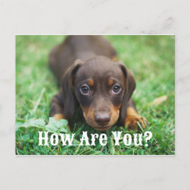 Hoe gaat het met je Briefkaart