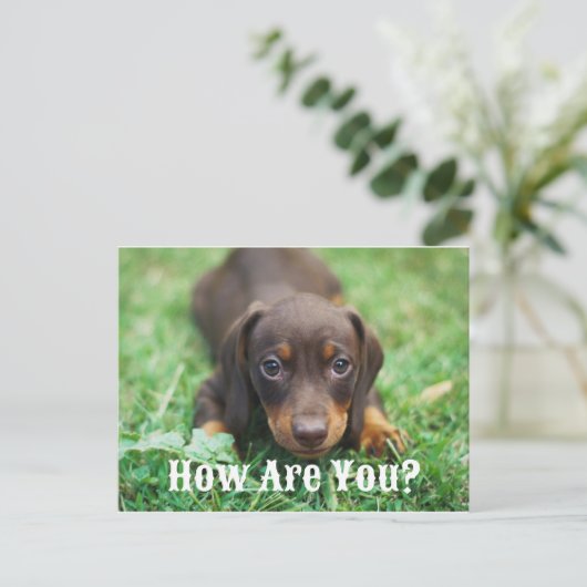 Hoe gaat het met je Briefkaart (Staand voorkant)