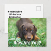 Hoe gaat het met je Briefkaart (Voorkant / Achterkant)