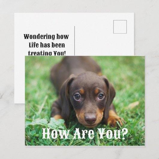 Hoe gaat het met je Briefkaart (Voorkant / Achterkant)