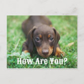 Hoe gaat het met je Briefkaart (Voorkant)