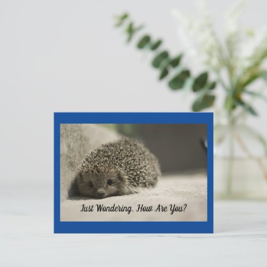 Hoe gaat het met je egel Briefkaart (Staand voorkant)