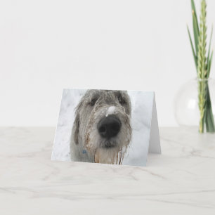 Hoe gaat het met je? kaart