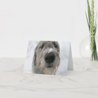 Hoe gaat het met je? kaart