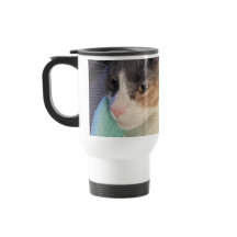 Hoe gaat het met je katachtige?