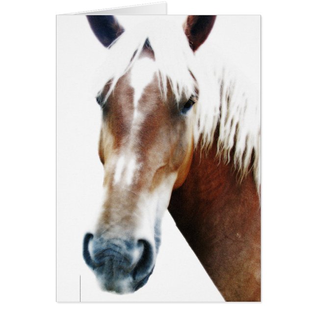 Hoe gaat het met jou? (Voorkant)