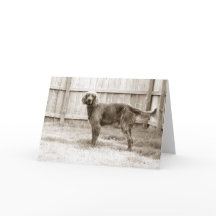 Hoe gaat het met jou?