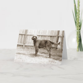 Hoe gaat het met jou? kaart