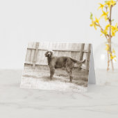 Hoe gaat het met jou? kaart (Gele Bloem)