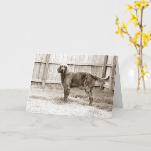 Hoe gaat het met jou? kaart (Gele Bloem)